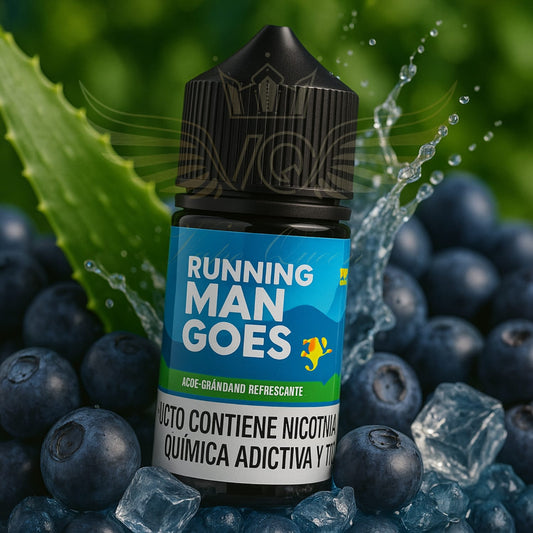 Pun Fiction Salt Aloe Blueberry Refrescante